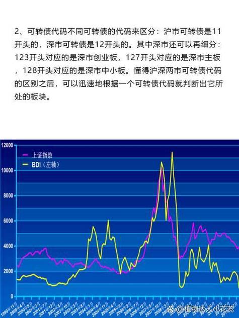 上证a股和b股的区别_沪市深市股票市场差异_沪市深市上市公司规模对比