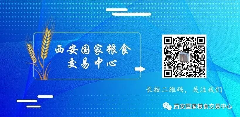 5月份小麦市场行情_新麦价格预期分析_2025年粮食价格走势图
