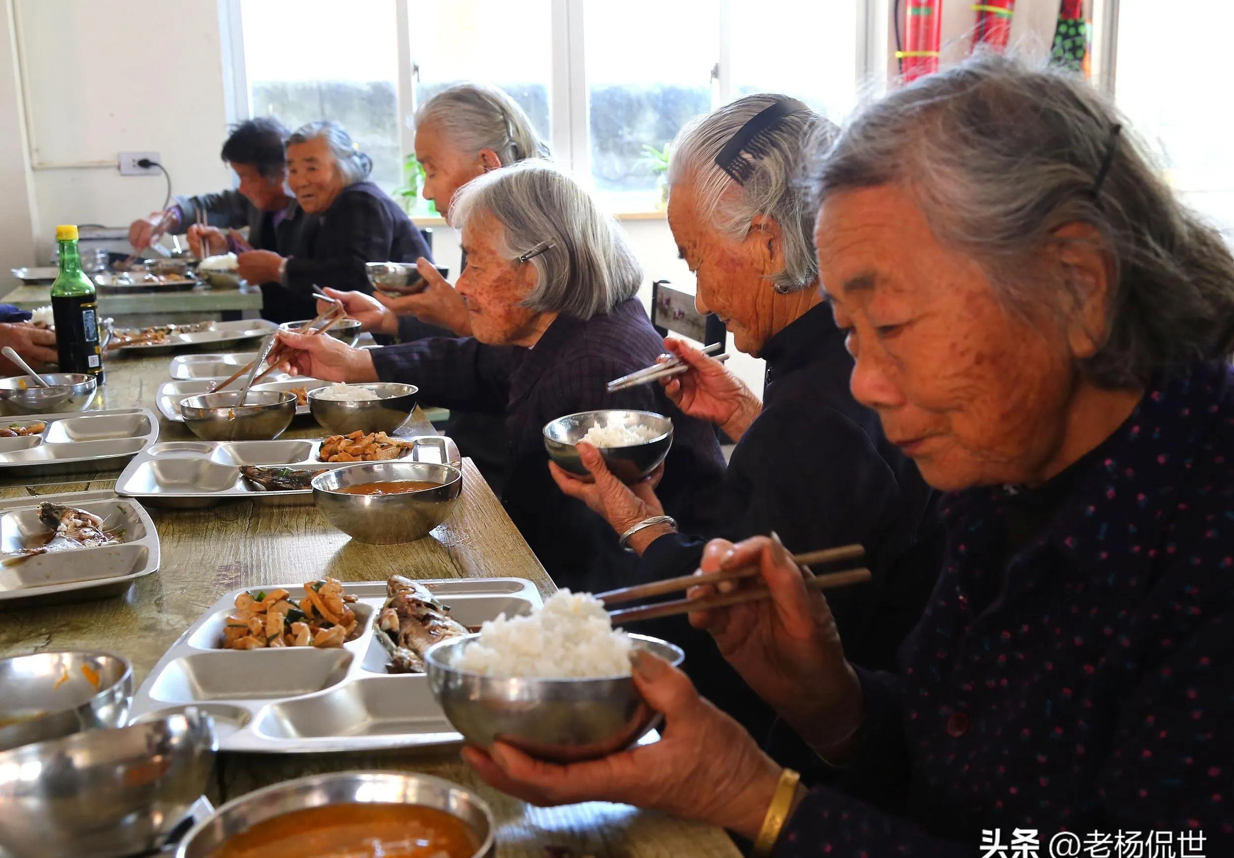 南方猪价坚挺北方疲软_2025年全国生猪价格走势图_猪肉价格区域分化