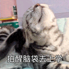 ok00.gif