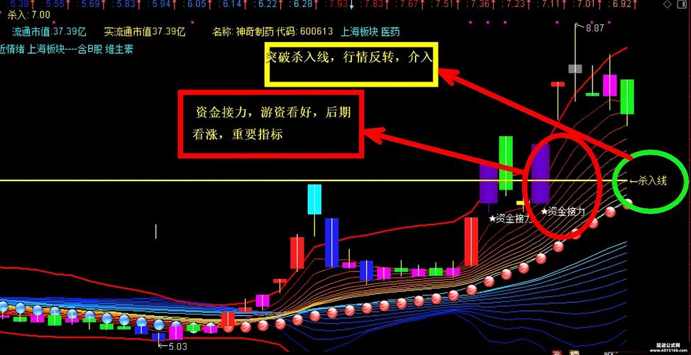  十二大经典指标公式解析 _高成功率选股公式 _有没有一个好的选股指标公式