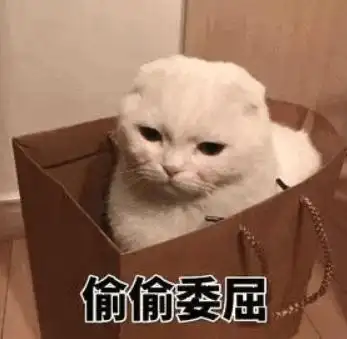 宠物店有选址要求吗_宠物寄养机构选择_春节宠物寄养
