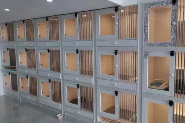 宠物寄养机构选择_宠物店有选址要求吗_春节宠物寄养