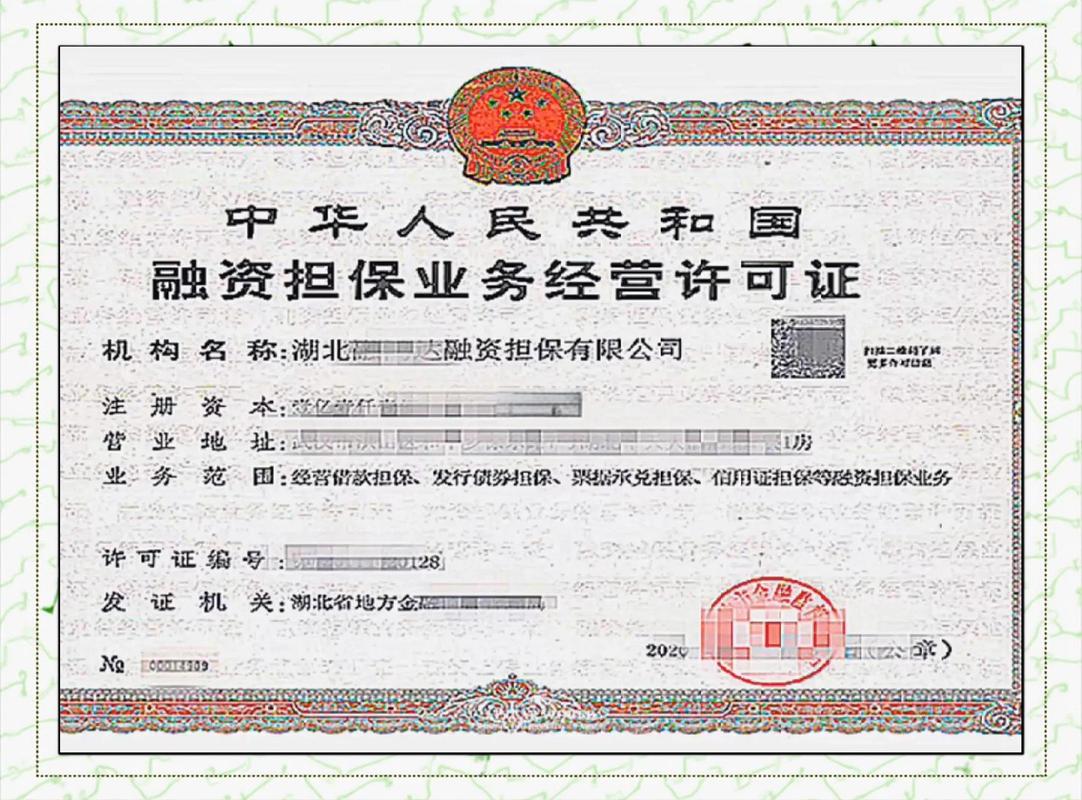 投资项下的备用信用证_外保内贷_备用信用证担保人民币贷款