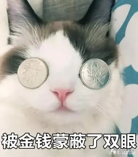 跑分洗钱风险_企业支付宝账户高价收购_为什么有人高价收企业支付宝