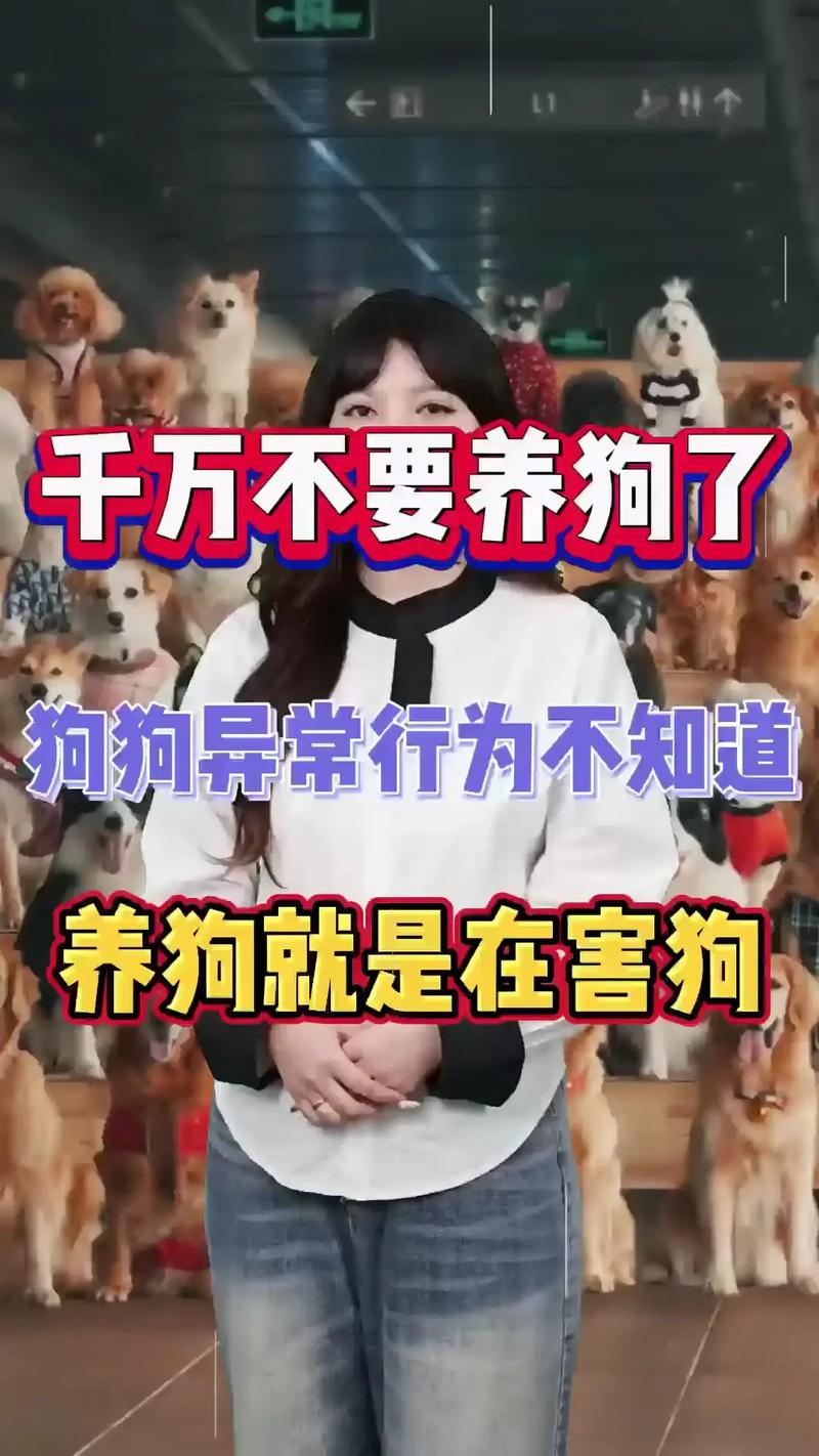 宠物消毒剂选择_来宠物店需要什么经验_宠物用具洗涤颗粒