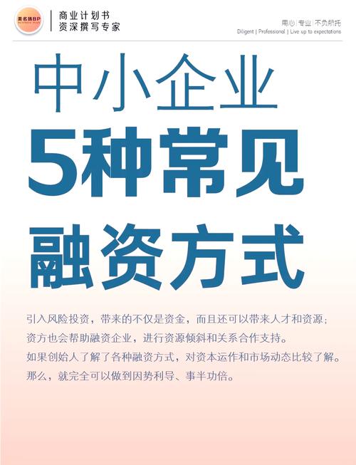 公司融资什么意思_企业融资方式内源外源_企业融资含义定义