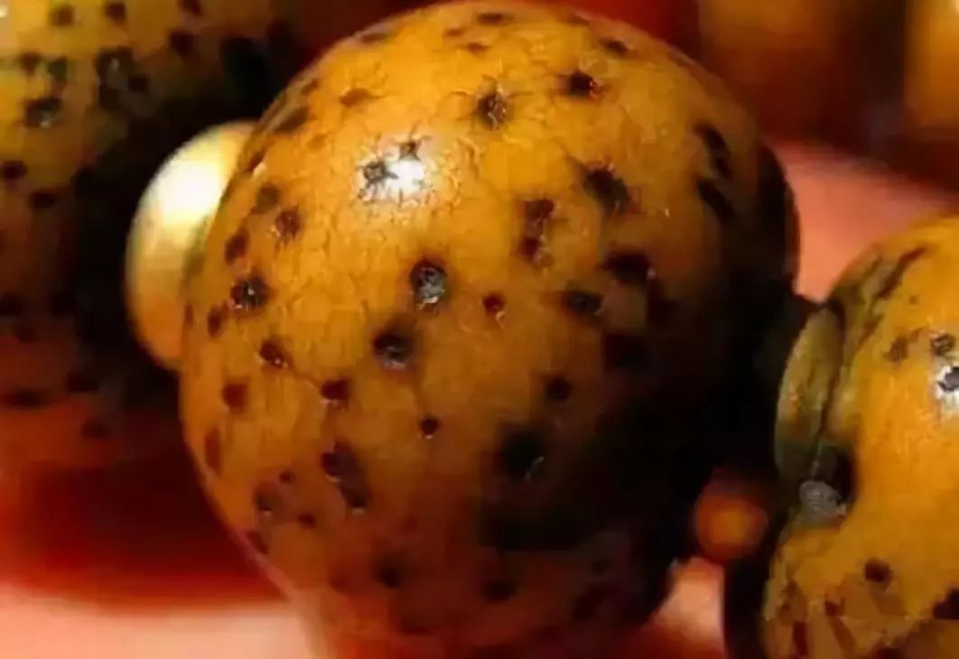 南红盘玩后有什么变化_金刚菩提包浆方法_星月菩提包浆后开片
