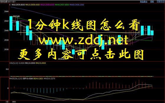 1分钟k线图怎么看_日内股票买卖点是看5分钟均线吗_如何使用1分钟k线图进行交易