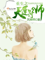 重生之天运符师在线阅读