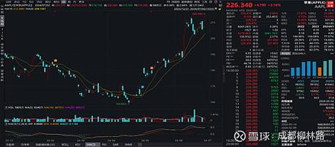 有外汇概念的股票_银都股份市值排名_银都股份股价分析