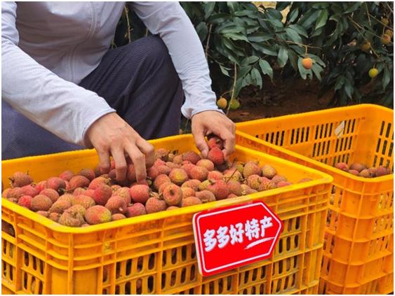 拼多多是什么营销模式_拼多多最新财报_拼多多营收增速放缓