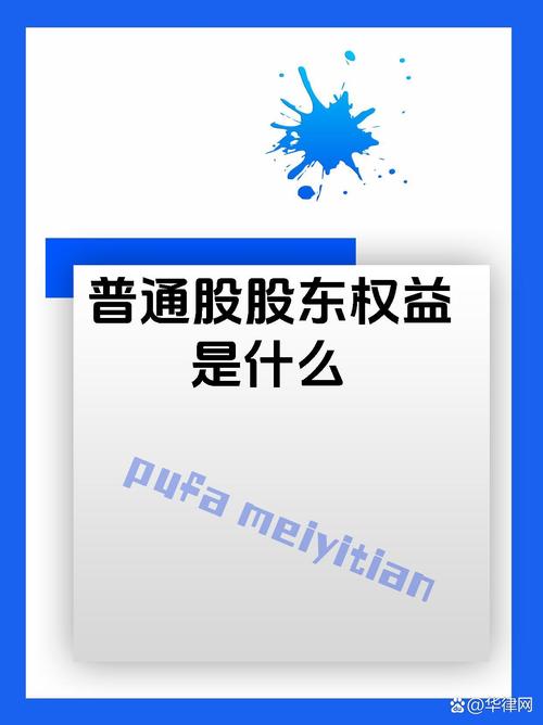股份公司股东权利_普通股票股东享有的权利有_小股东合法权益