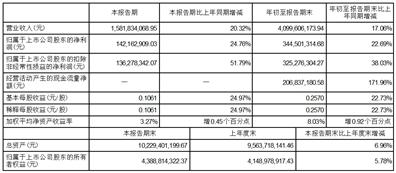 东方电子公司财务数据披露_东方电子股份有限公司第三季度报告_东方电子股份有限公司工资
