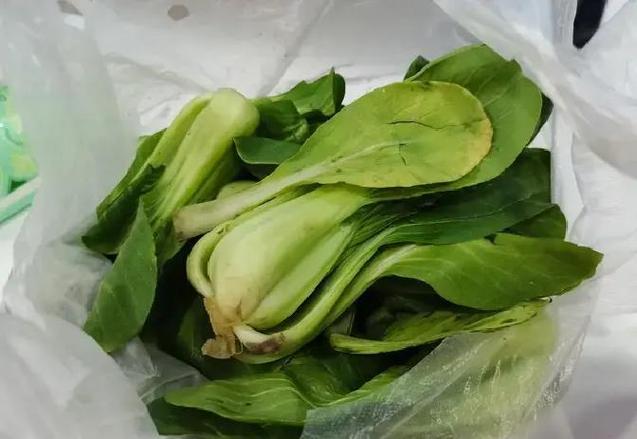 为什么一下雪菜价上涨_担心未来挨饿囤积心理_雪天超市囤菜习惯
