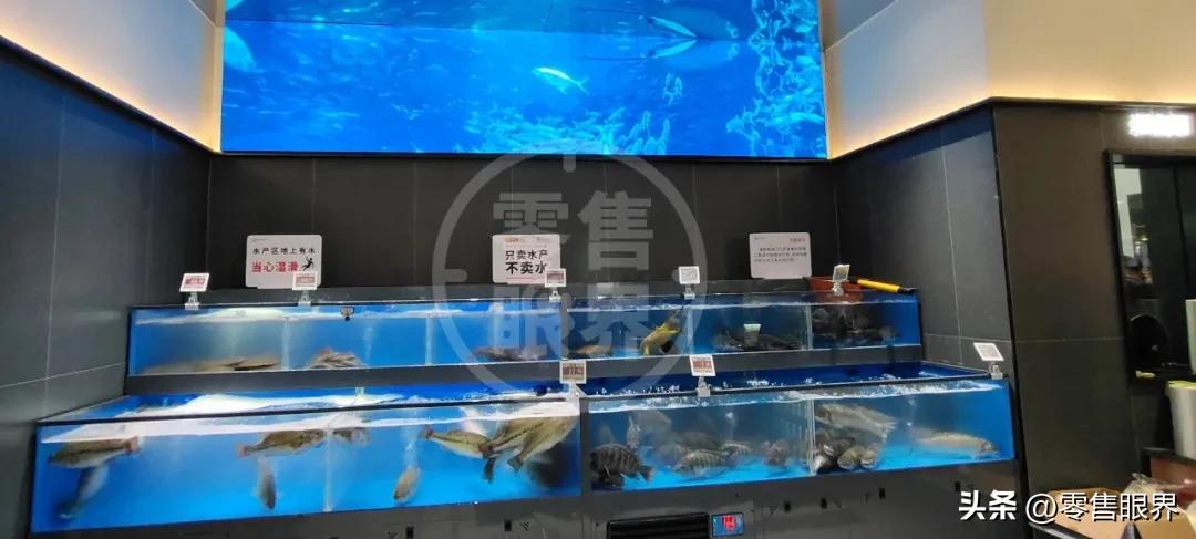 2026年草鱼行情预测_春节零售企业生鲜管理重点_2026年春节生鲜商品营销策略