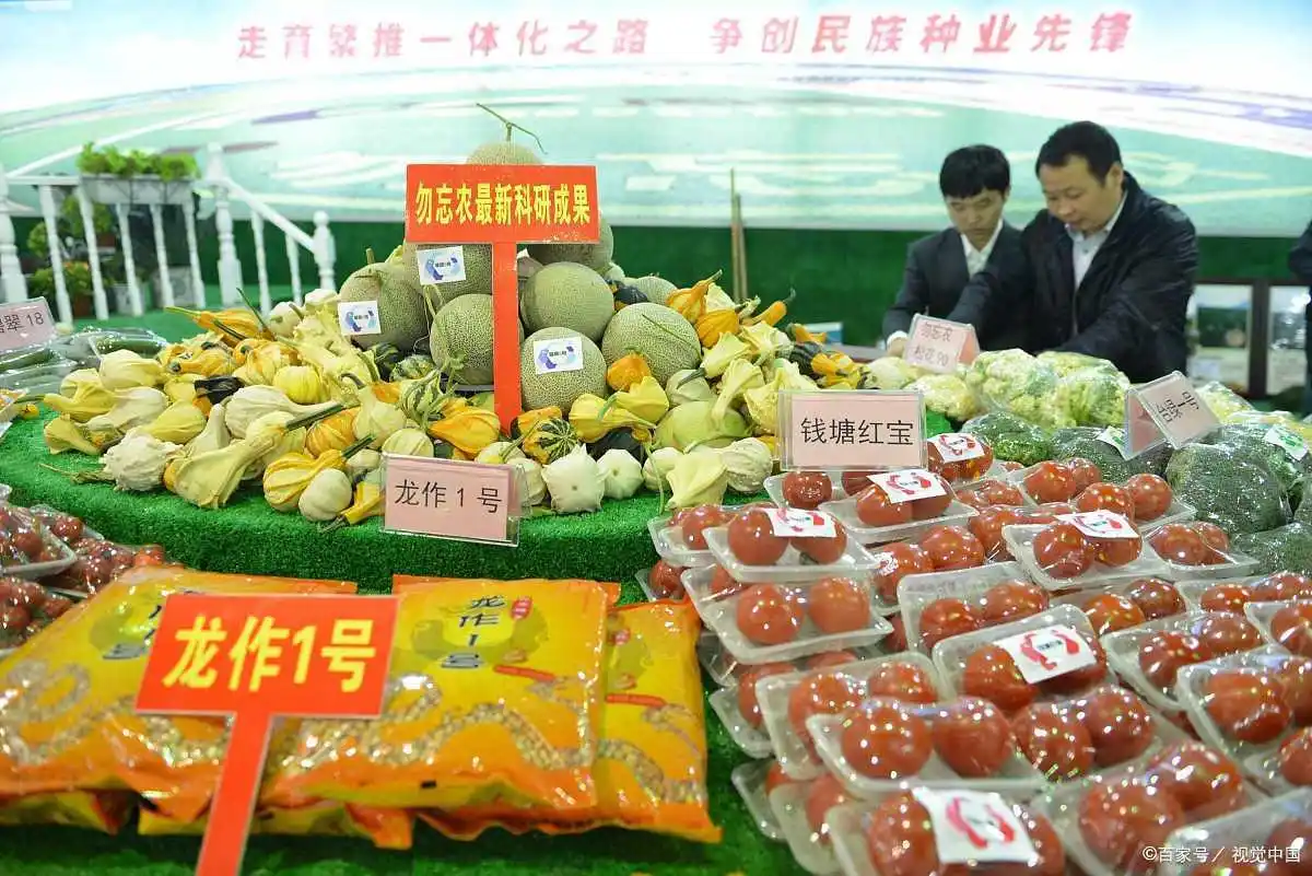 菜篮子价格波动_蔬菜价格季节性变化_为什么一下雪菜价上涨