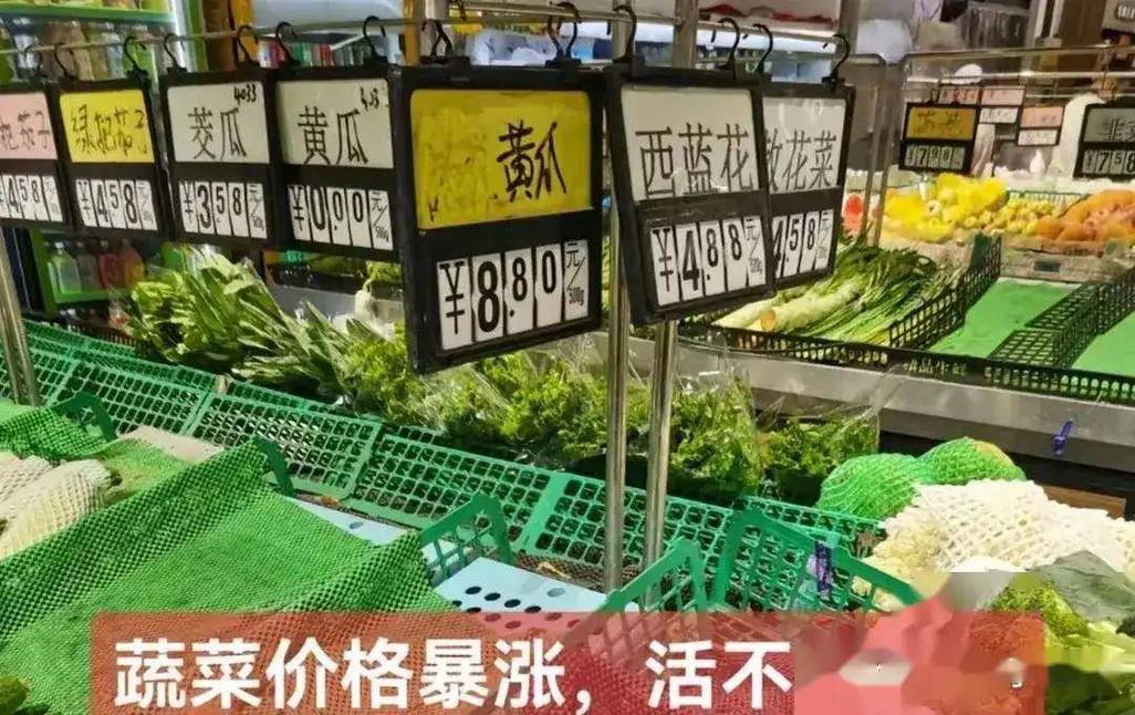年货价格上涨_年夜饭食材涨价原因_为什么一下雪菜价上涨
