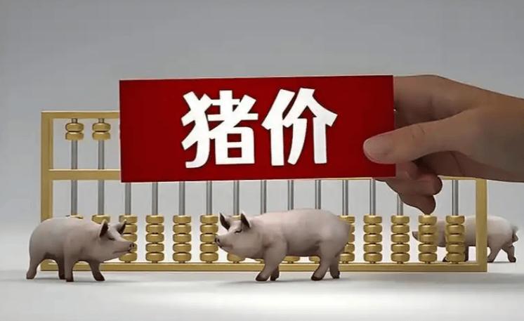 猪价下跌原因分析_山东生猪价格走势图_2026年1月4日猪价预测