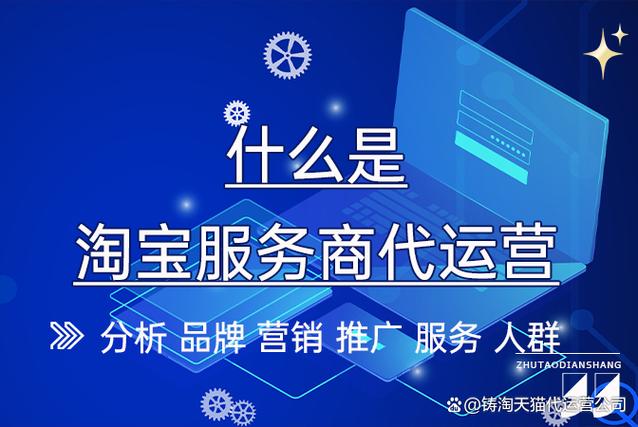 POS机服务商选择标准_POS机服务商定义与职责_淘宝服务商是什么意思