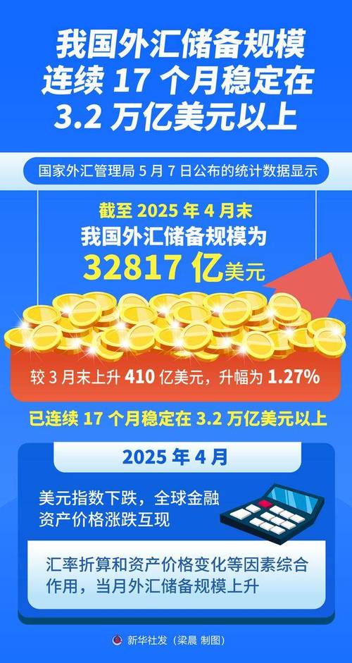 中国国际收支报告2025_中国外汇储备投资多样化研究_经常账户顺差分析