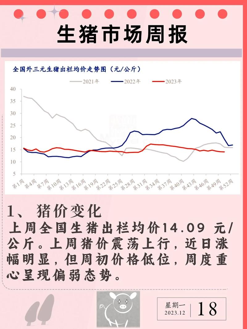 山东生猪价格走势图_生猪价格震荡偏弱调整_生猪养殖收益收窄