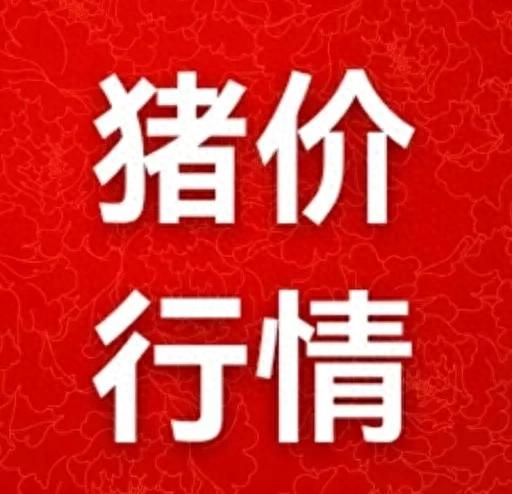 明日猪价走势分析_养殖户市场策略_明日猪价行情分析预测