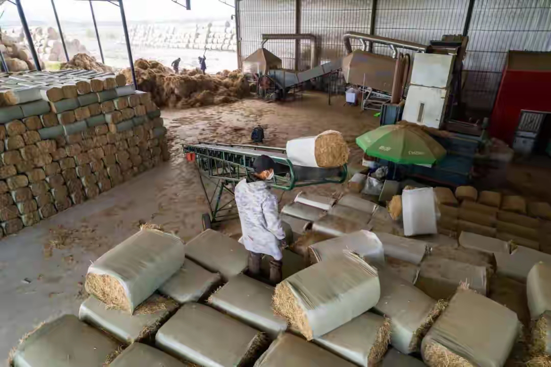 去年投资热门的创业门路_旧家具修复冷门赚钱路子_秸秆加工粉碎饲料生意