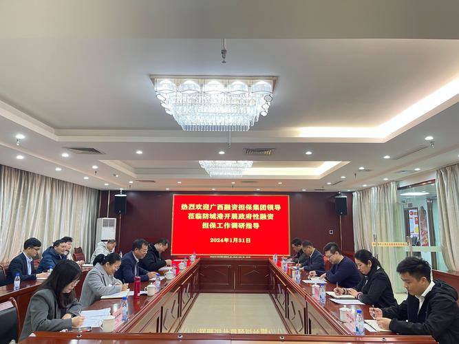 普惠金融中小微企业担保_融资担保公司监管_融资担保机构监管