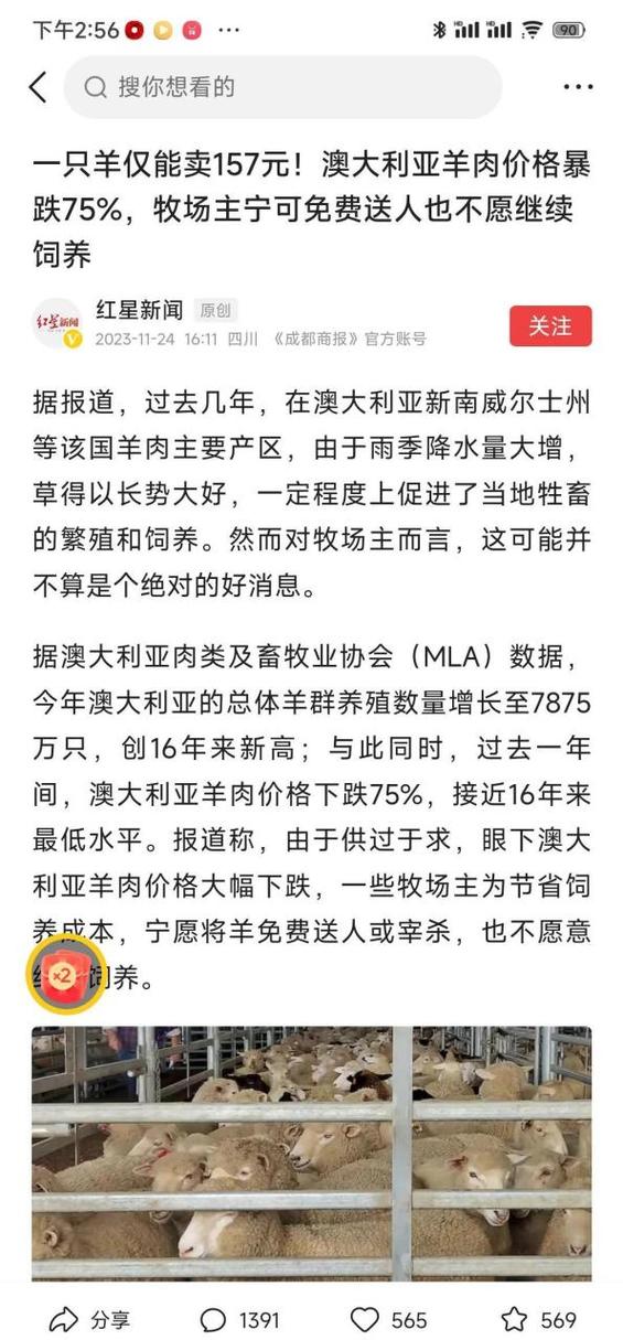 市面上一只羊可以卖多少钱_澳大利亚羊群数量增长_澳大利亚羊肉价格下跌