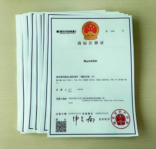 注册公司取名注意事项_起公司名字要注意什么_公司名称商标查询