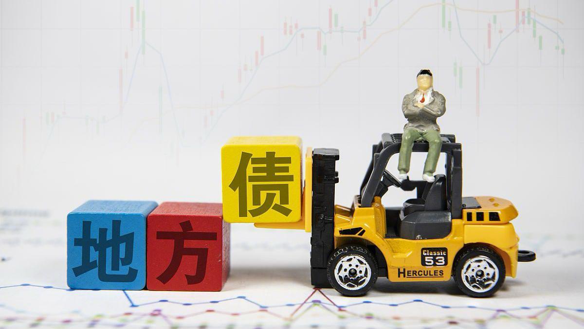 中国地方政府债务问题_政府投融资平台数量_地方债形成机制与治理